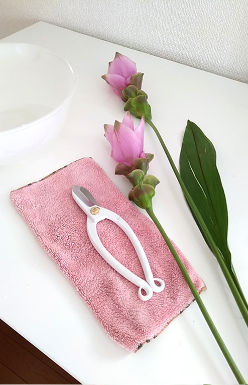 生け花レッスンまでの流れ