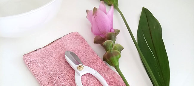 生け花レッスンまでの流れ