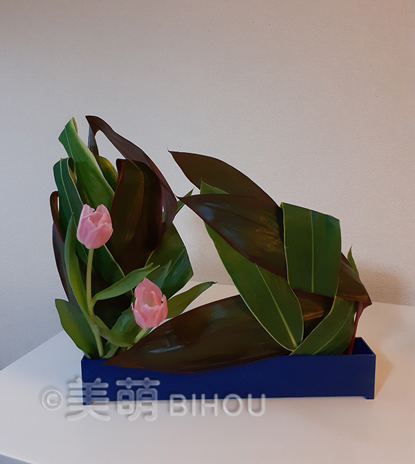 作品例:面の構成(葉物などを使って)