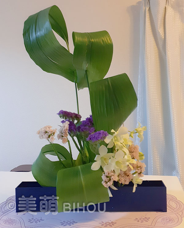 花材:デンファレラン スターチス ハラン