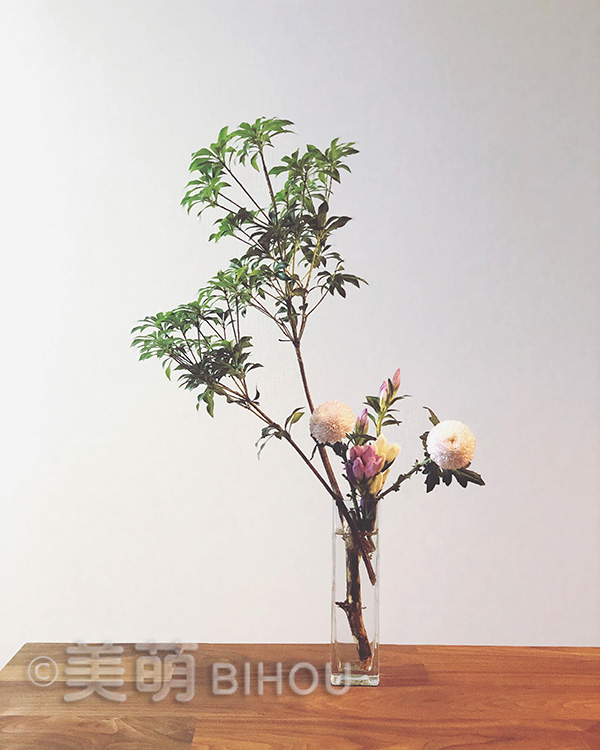 尾﨏 菜月 様 1-4 基本立真型・投入 たての添え木留め 花材:アセビ ピンポン菊 りんどう 花器:ガラス花器四角形筒形 (写真撮影時 草月のいけばなカリキュラム1を履修中)(1)