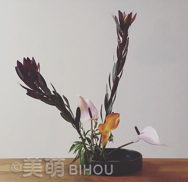 第一応用立真型・盛花
花材:ユーカリ・アンスリウム・ふじばかま・カラー
花器:陶器花器