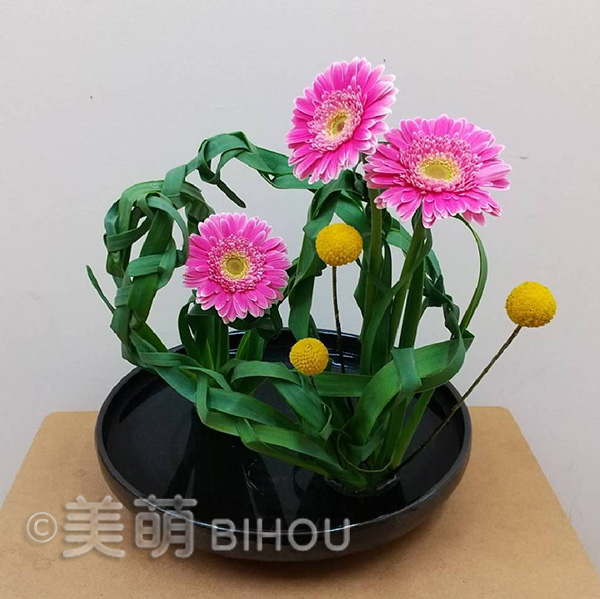 植物を編む
花材:水仙・ガーベラ・マム
花器:陶器花器丸水盤 黒